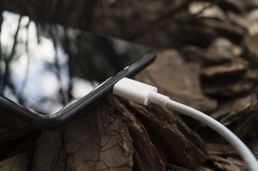 dsc09576 (1).jpg dsc09576 (1).jpg